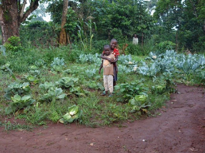 Slide Image