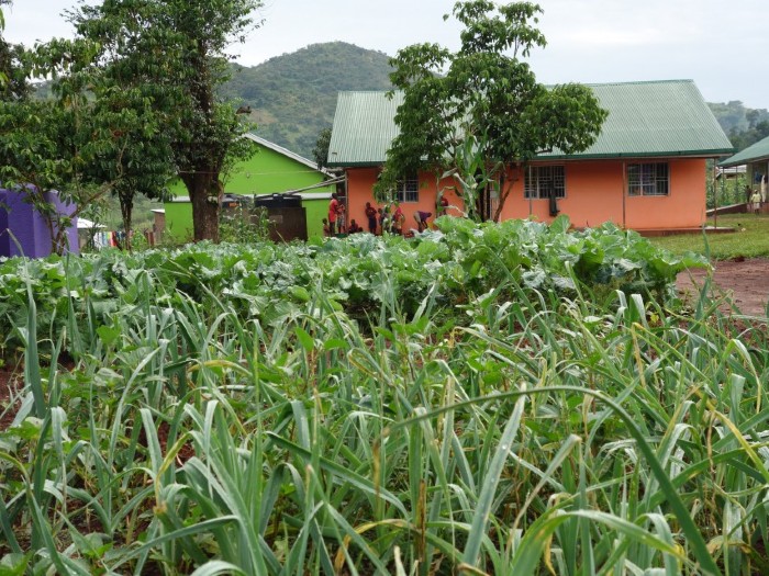 Slide Image
